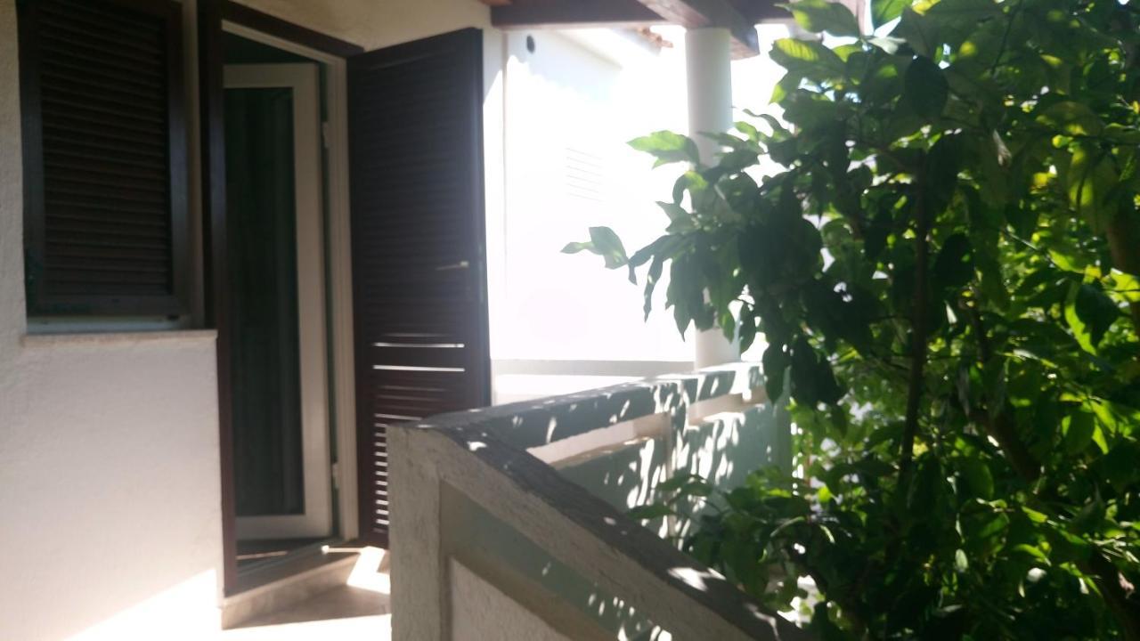 Adriatic Apartmani A2-A6, Rab Kampor エクステリア 写真